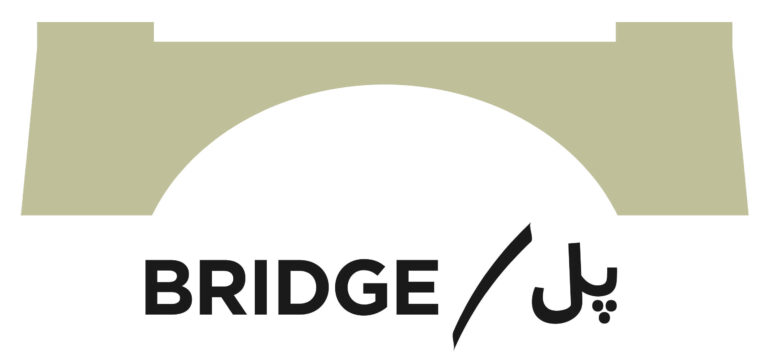 logo of Bridge Hope Health Organization BHHO