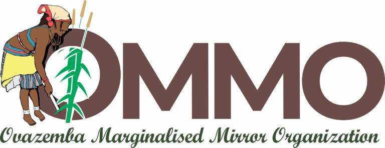 logo of The Marginalized Mirror