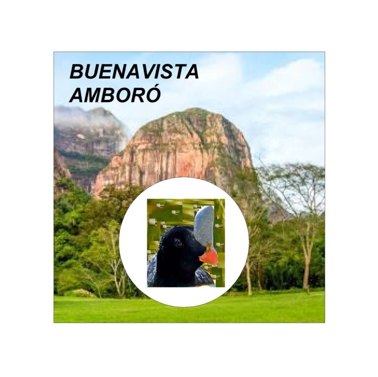 logo of BUENAVISTA AMBORÓ