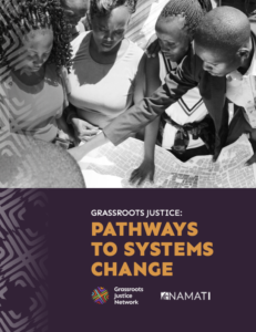 Grassroots Justice: Pathways to Systems Change