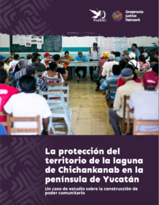 La protección del territorio de la laguna de Chichankanab en la península de Yucatán: Un caso de estudio sobre la construcción de poder comunitario