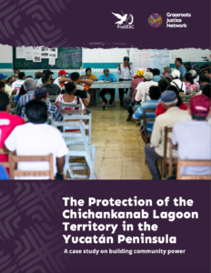 The Protection of the Chichankanab Lagoon Territory in the Yucatán Peninsula: A case study on building community power