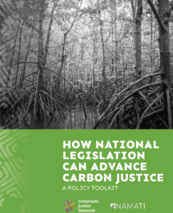 How National Legislation Can Advance Carbon Justice: A Policy Toolkit