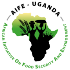 logo of African Initiative On Food Security and Environment (AIFE)
