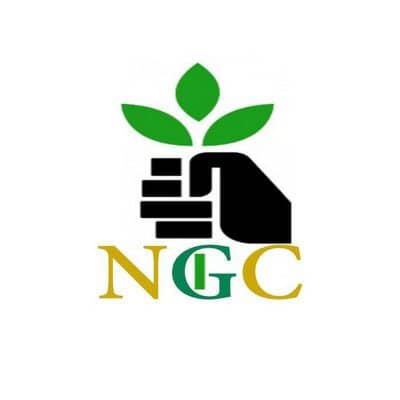 logo of Nect Green Code (NGC)