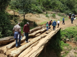 Team Ogiek crossing the bridge to visit the Ogiek community in the Mau forest.